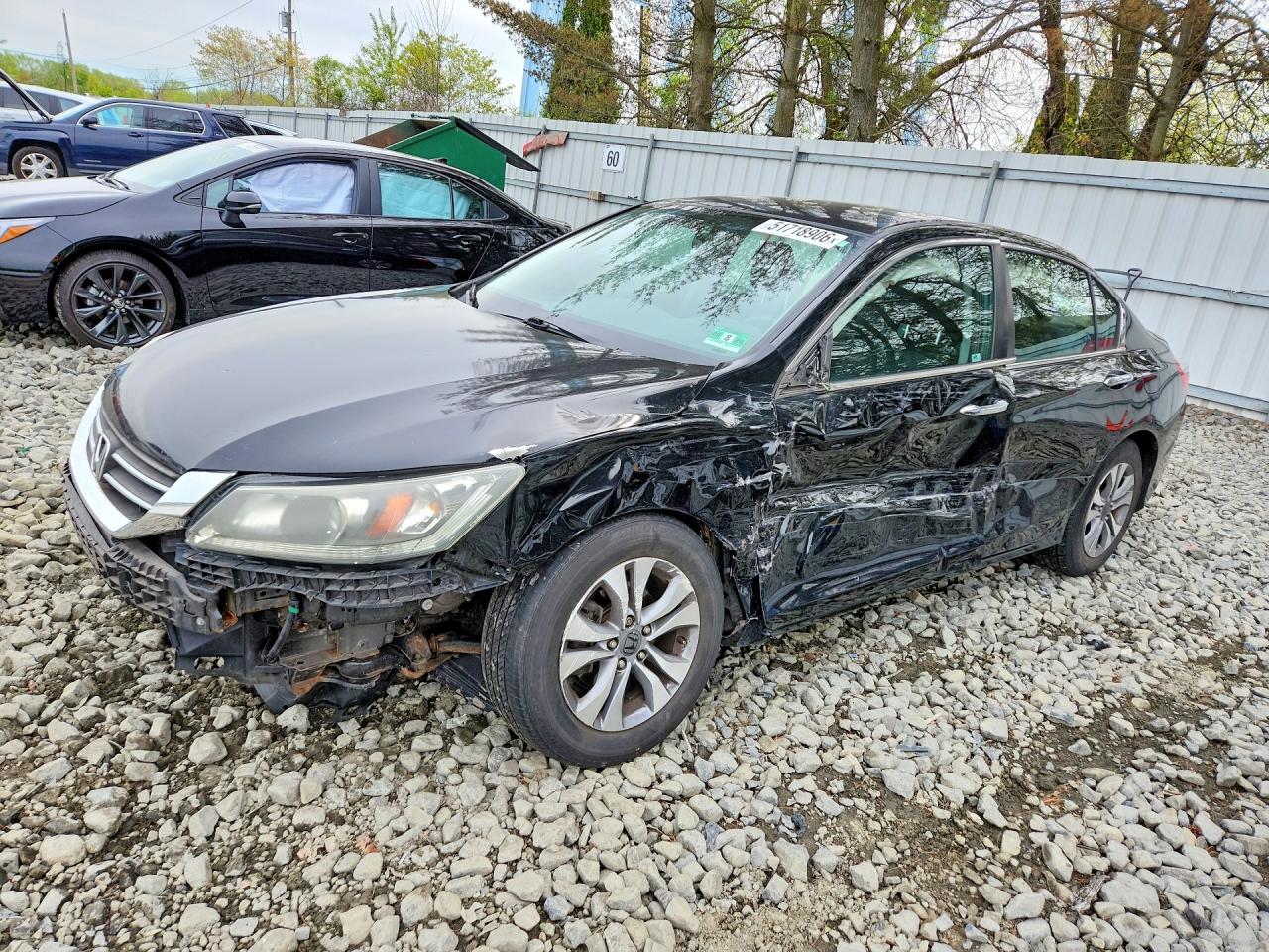 Salvage Honda Accord Image