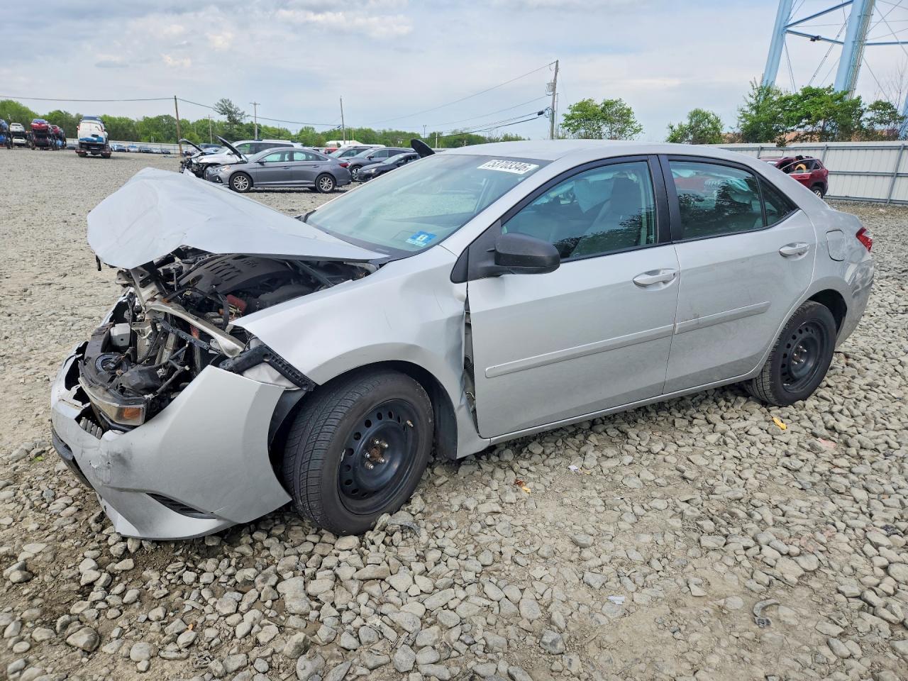 Salvage Toyota Corolla Image