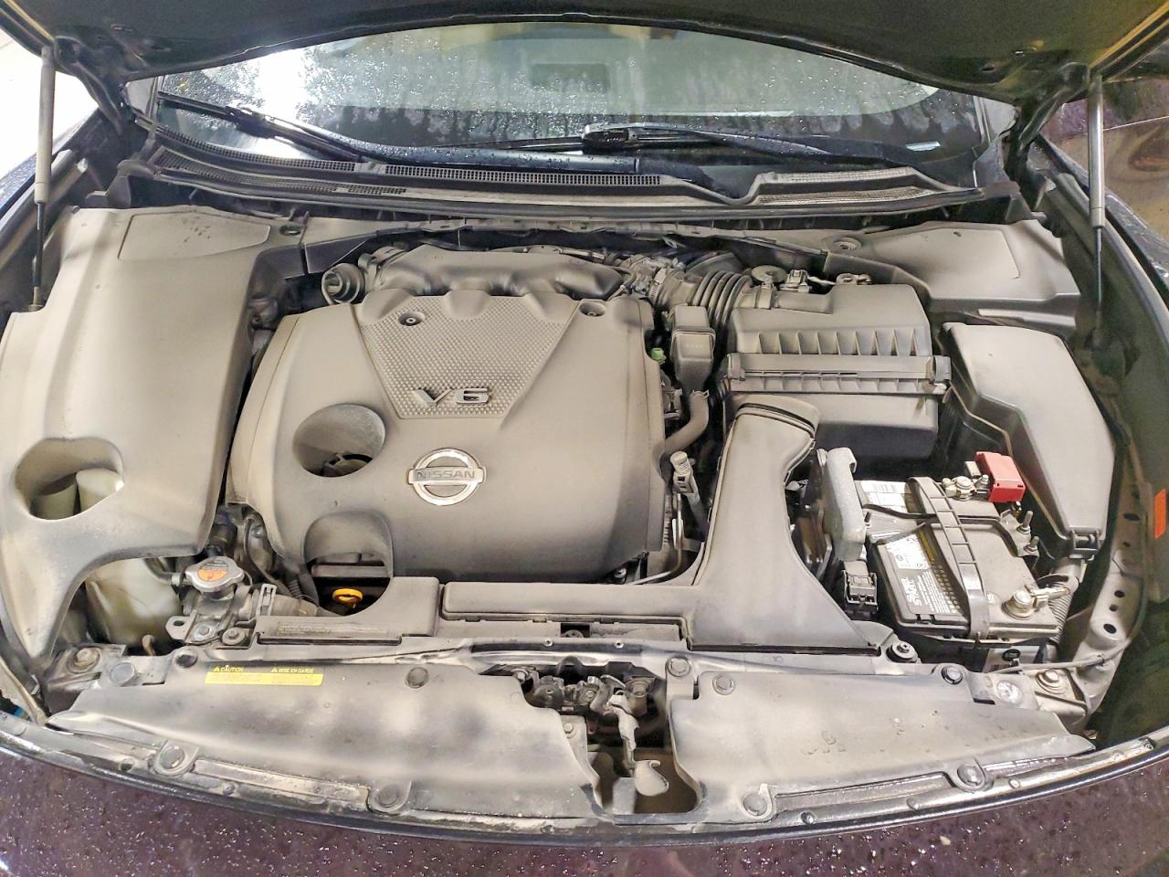 Nissan Maxima
