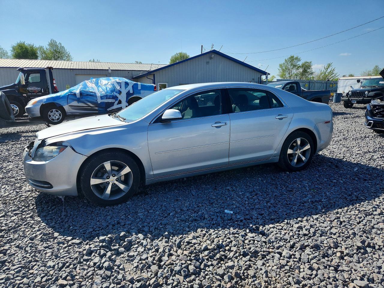 Salvage Chevrolet Malibu Image