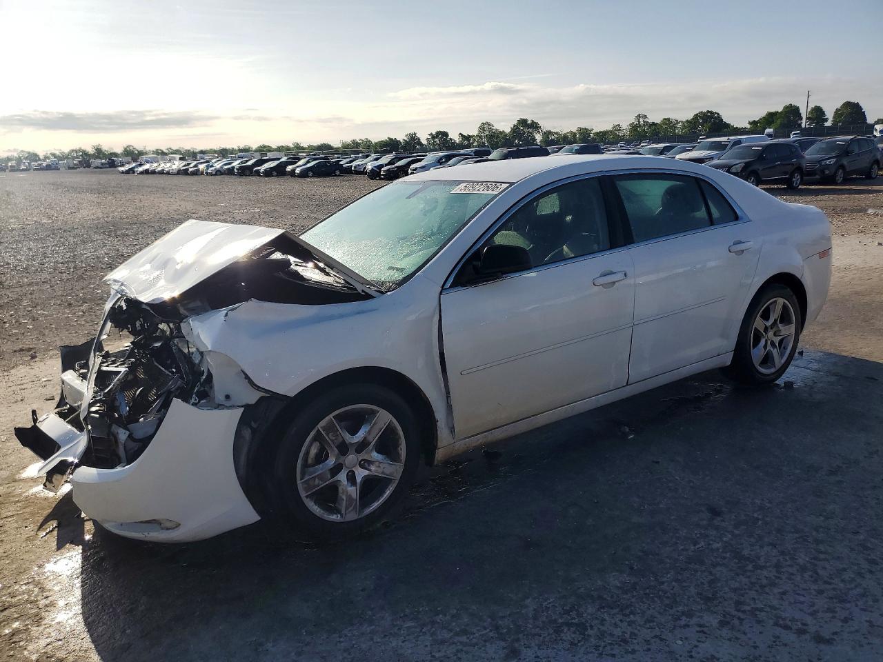 Salvage Chevrolet Malibu Image