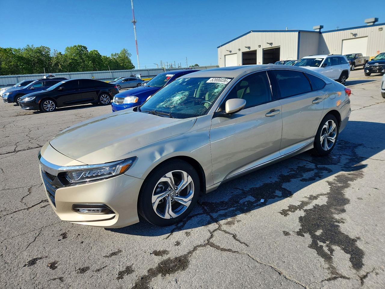 Salvage Honda Accord Image