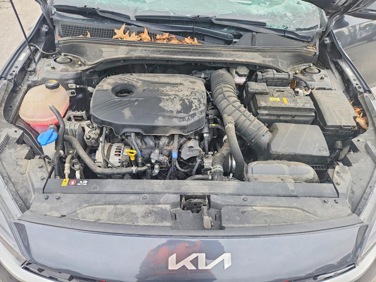 Kia Forte Gt