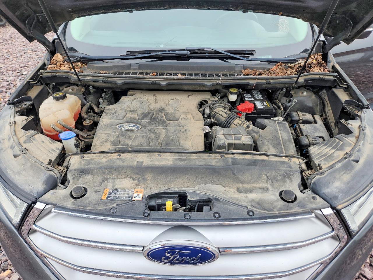 Ford Edge Sel
