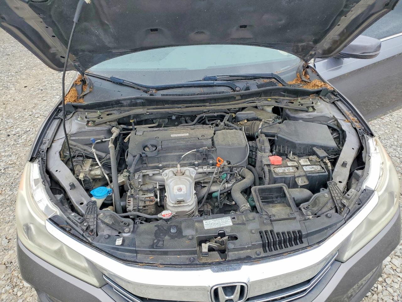 Honda Accord Ex