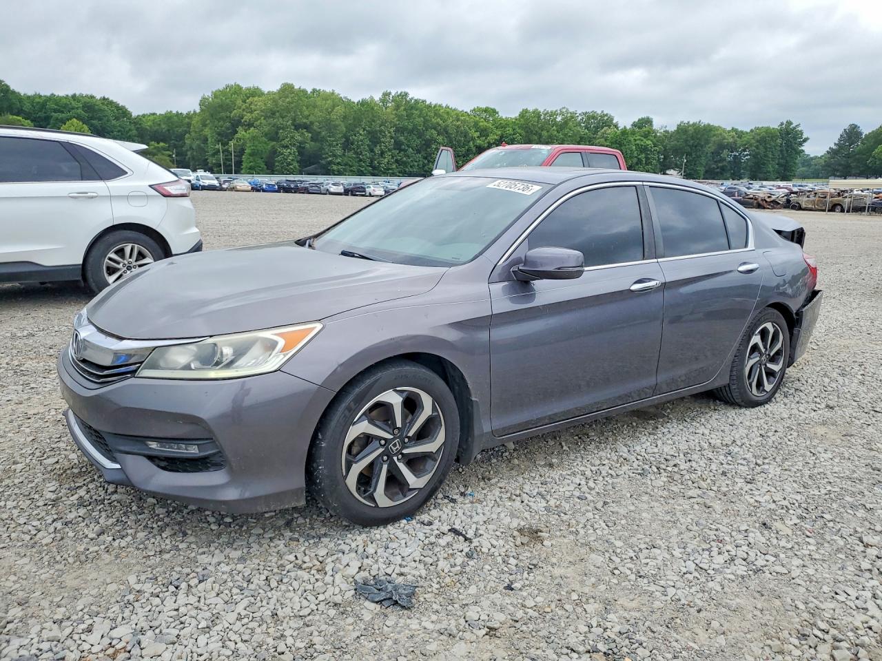 Salvage Honda Accord Image