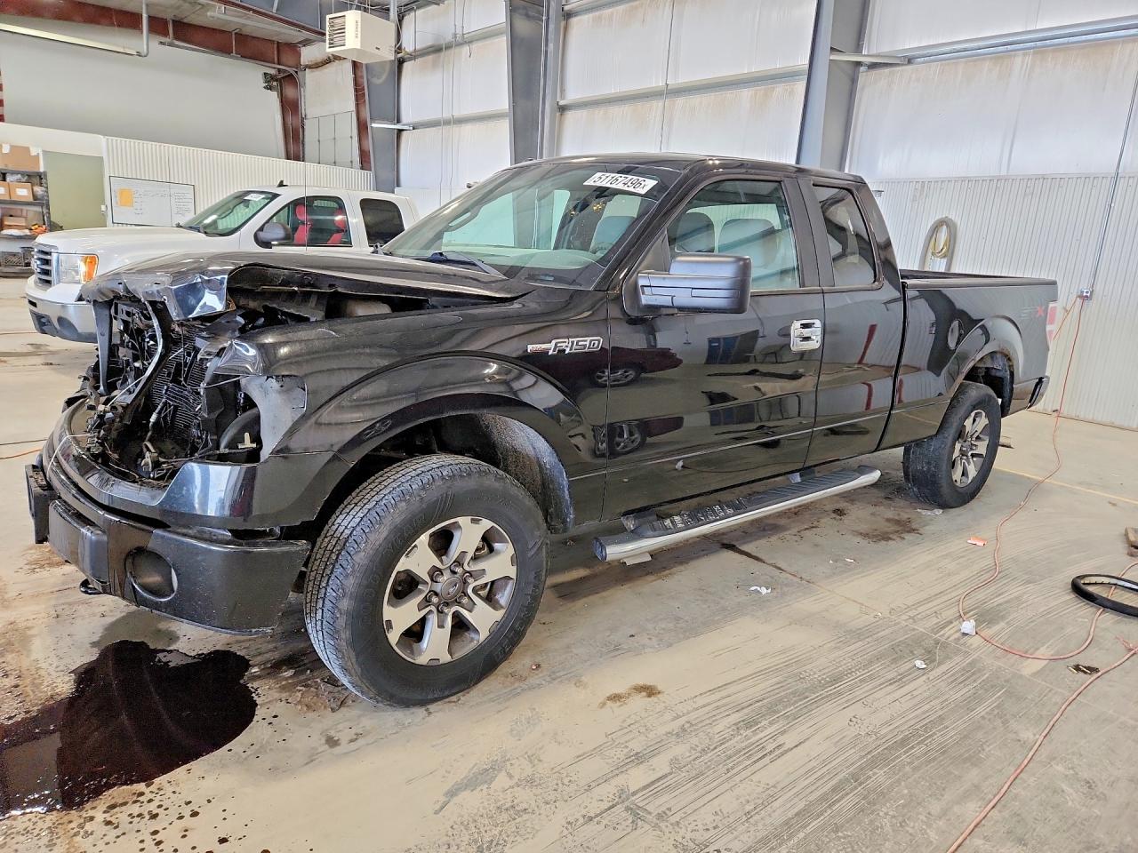Salvage Ford F-150 Image