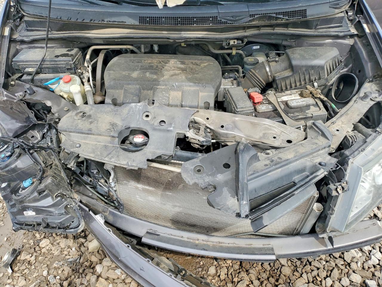 Honda Odyssey Exl