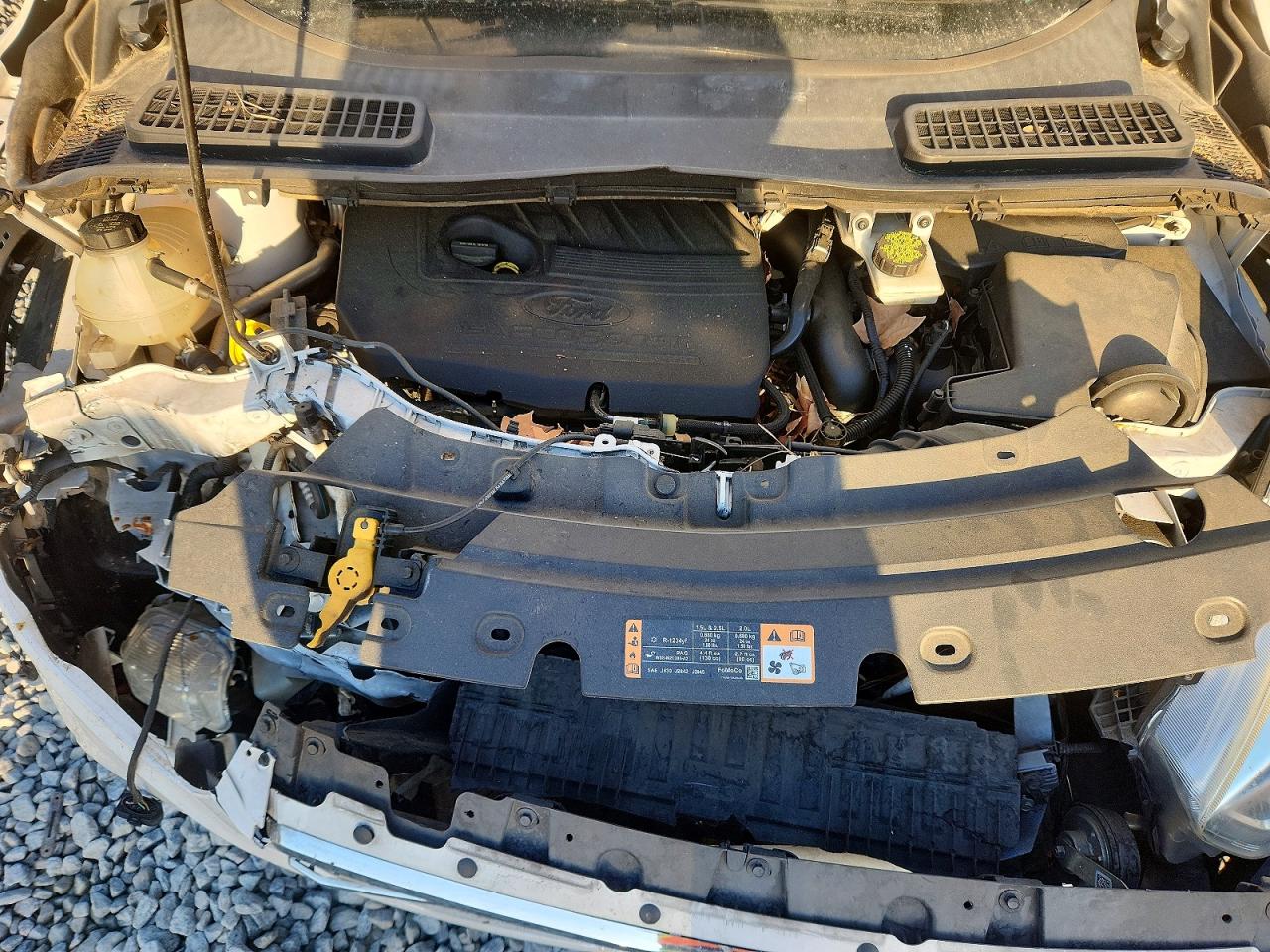 Ford Escape Sel