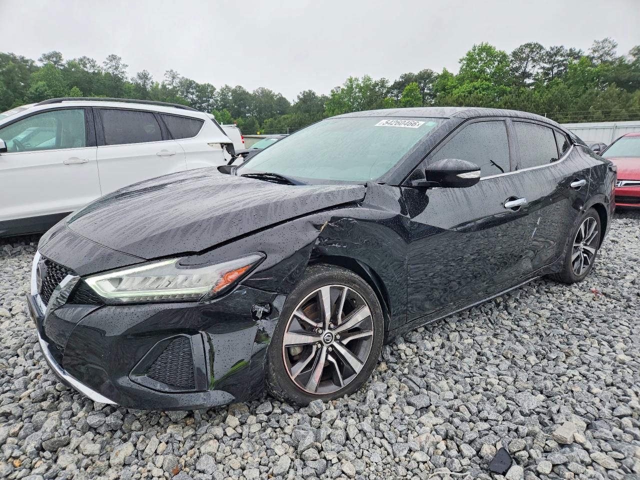 Salvage Nissan Maxima Image