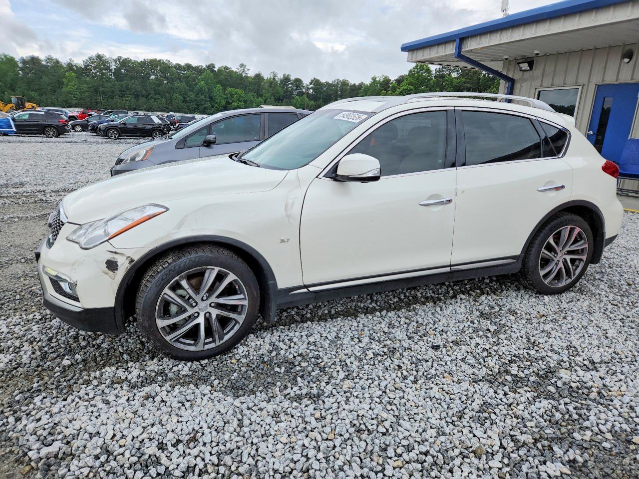 Salvage INFINITI Qx Image