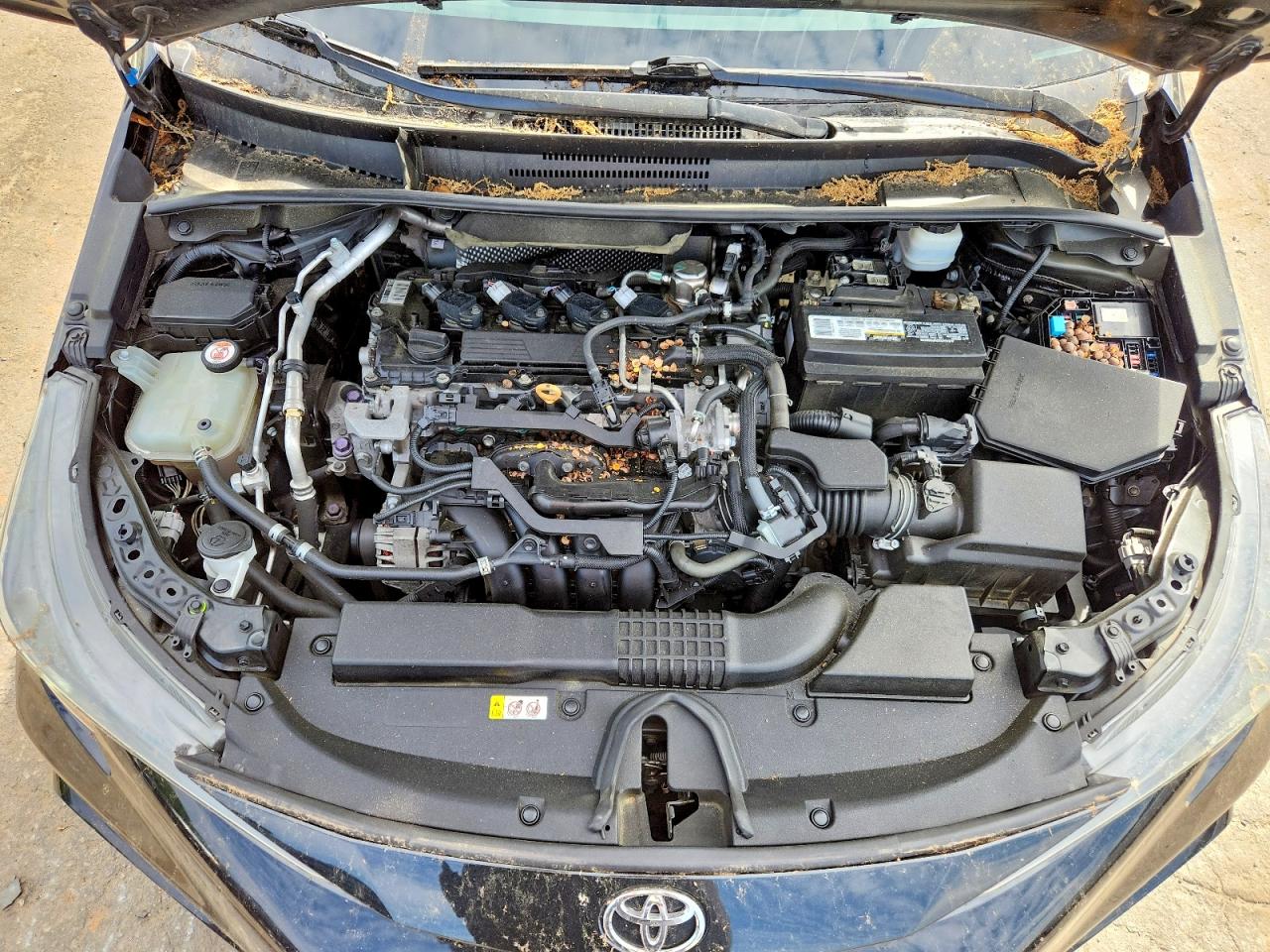 Toyota Corolla Se