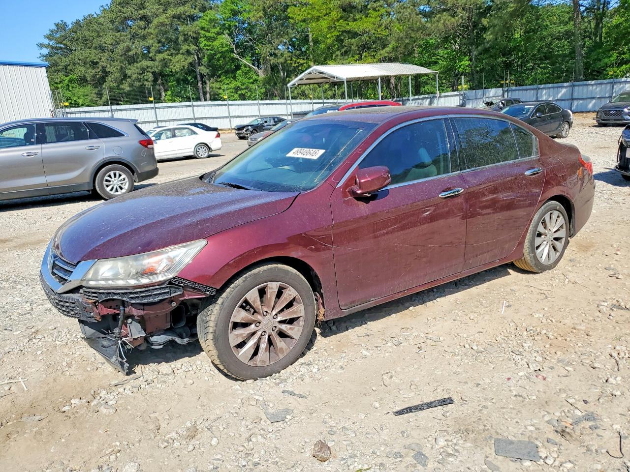 Salvage Honda Accord Image