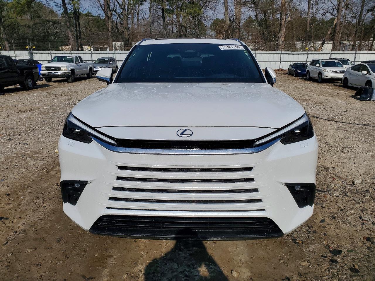 Lexus Other Luxury