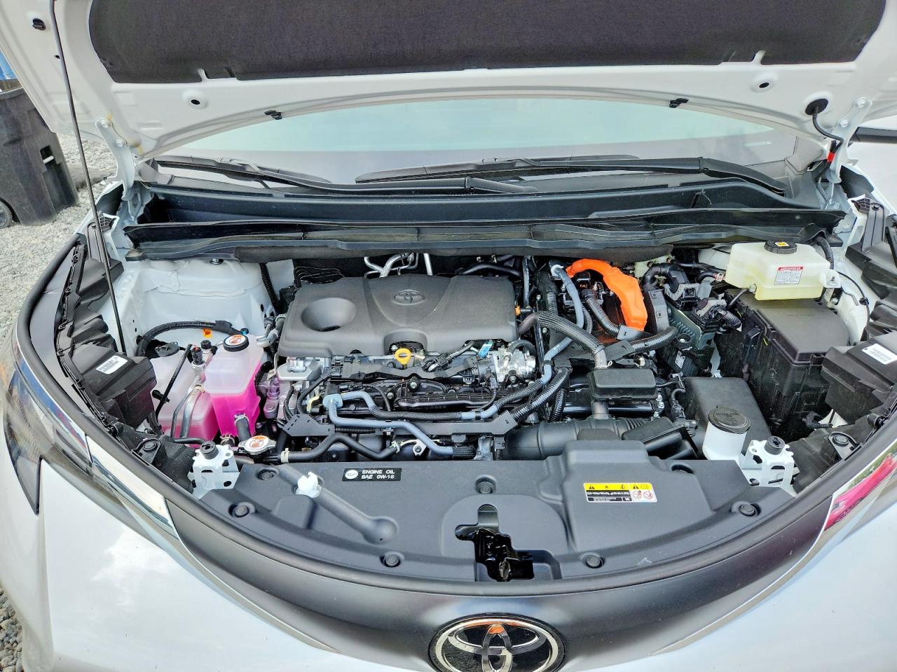 Toyota Sienna Xle 7-passenger