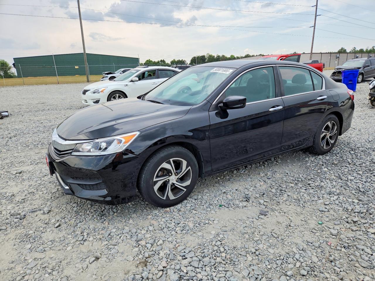 Salvage Honda Accord Image