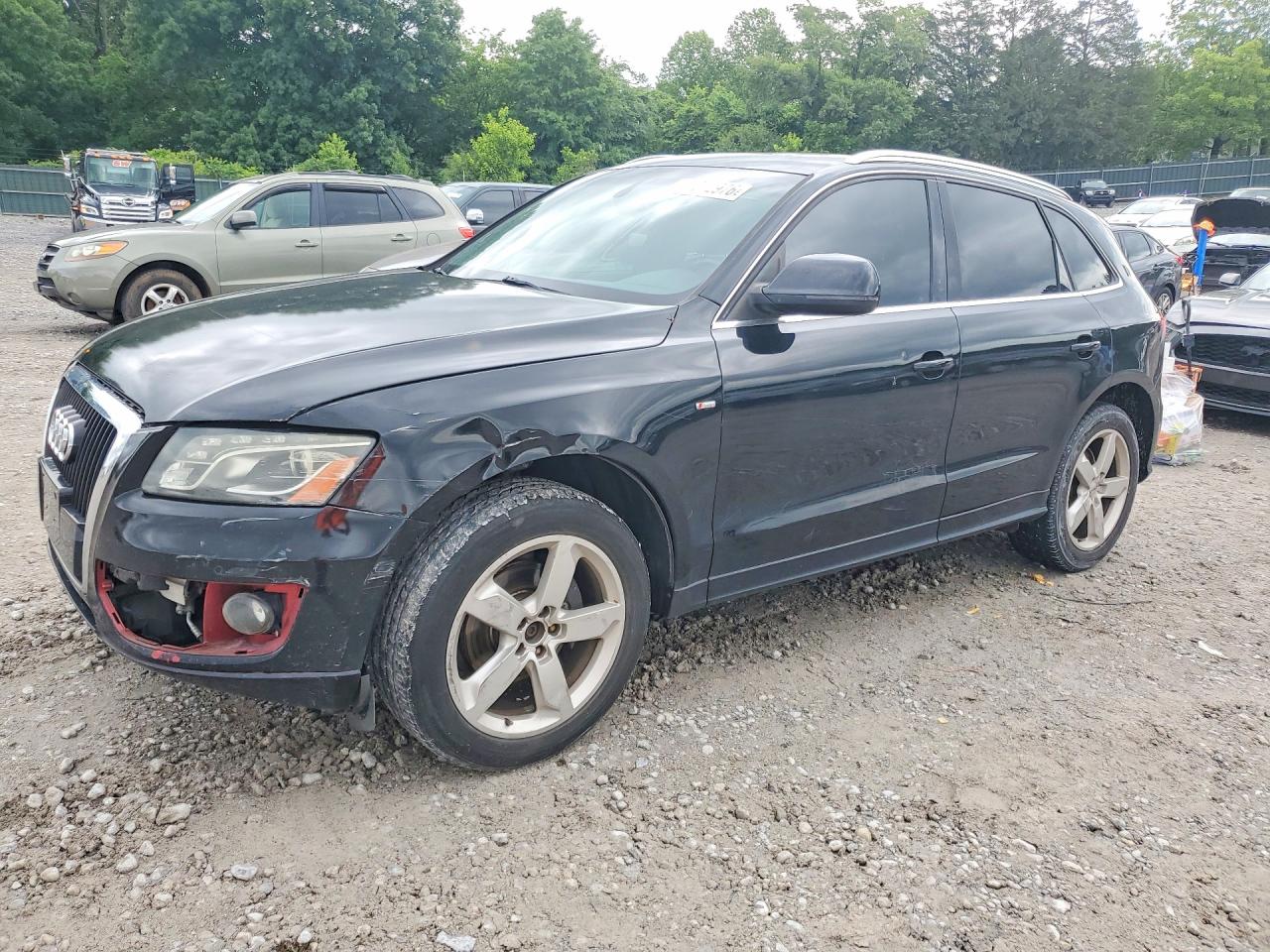 Salvage Audi Q5 Image