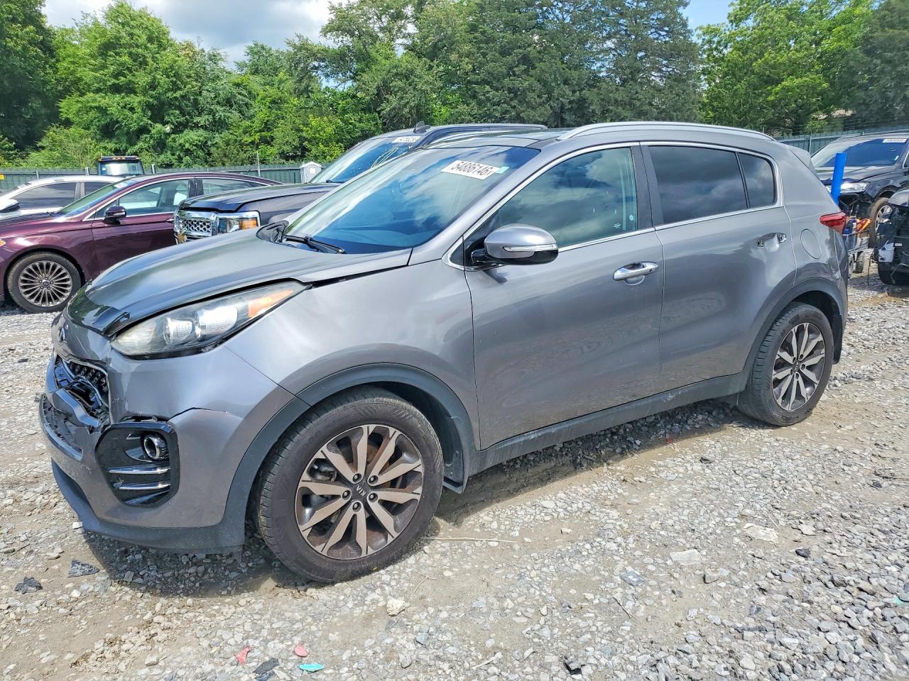 Salvage Kia Sportage Image