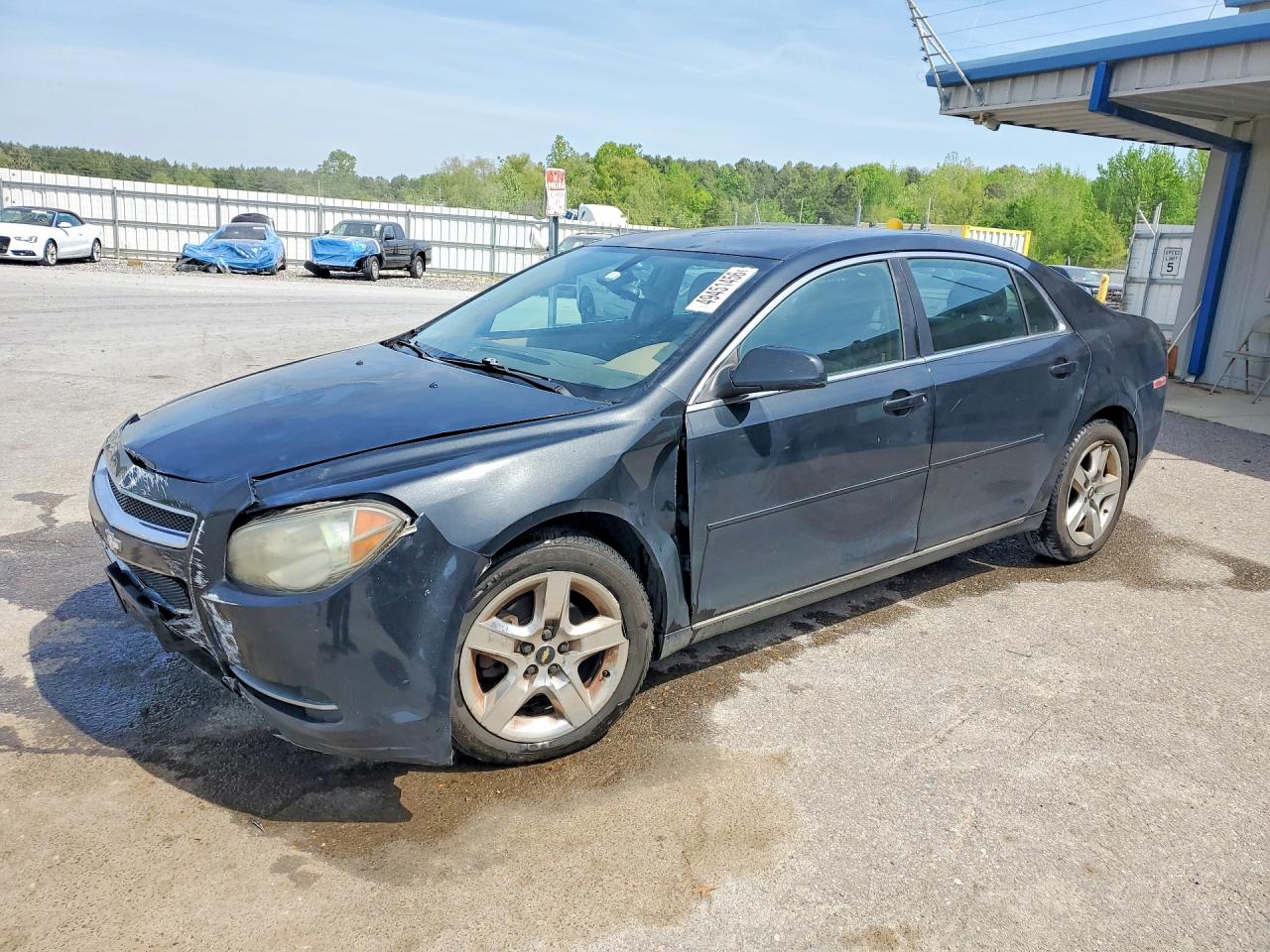Salvage Chevrolet Malibu Image