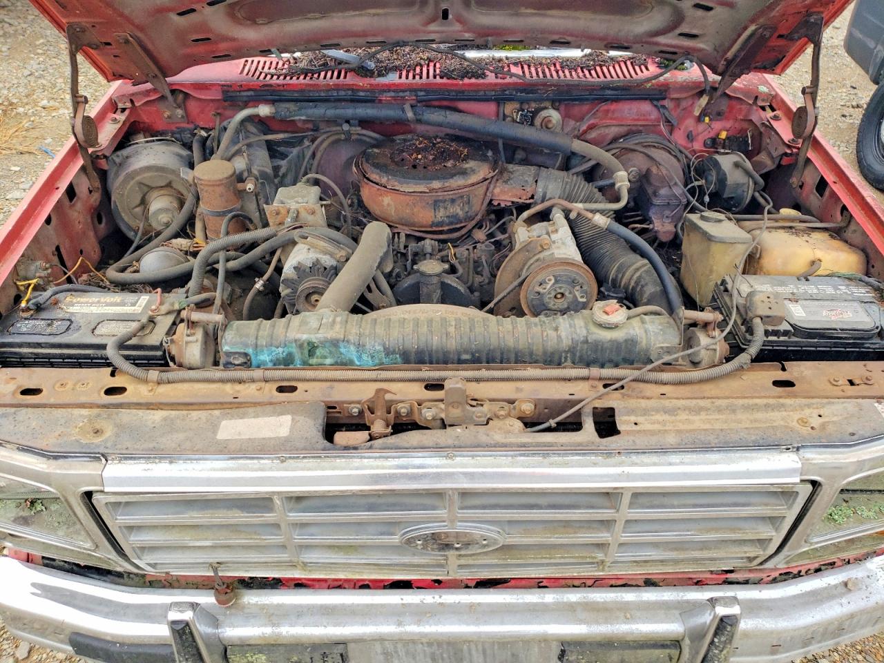 Ford Rollback