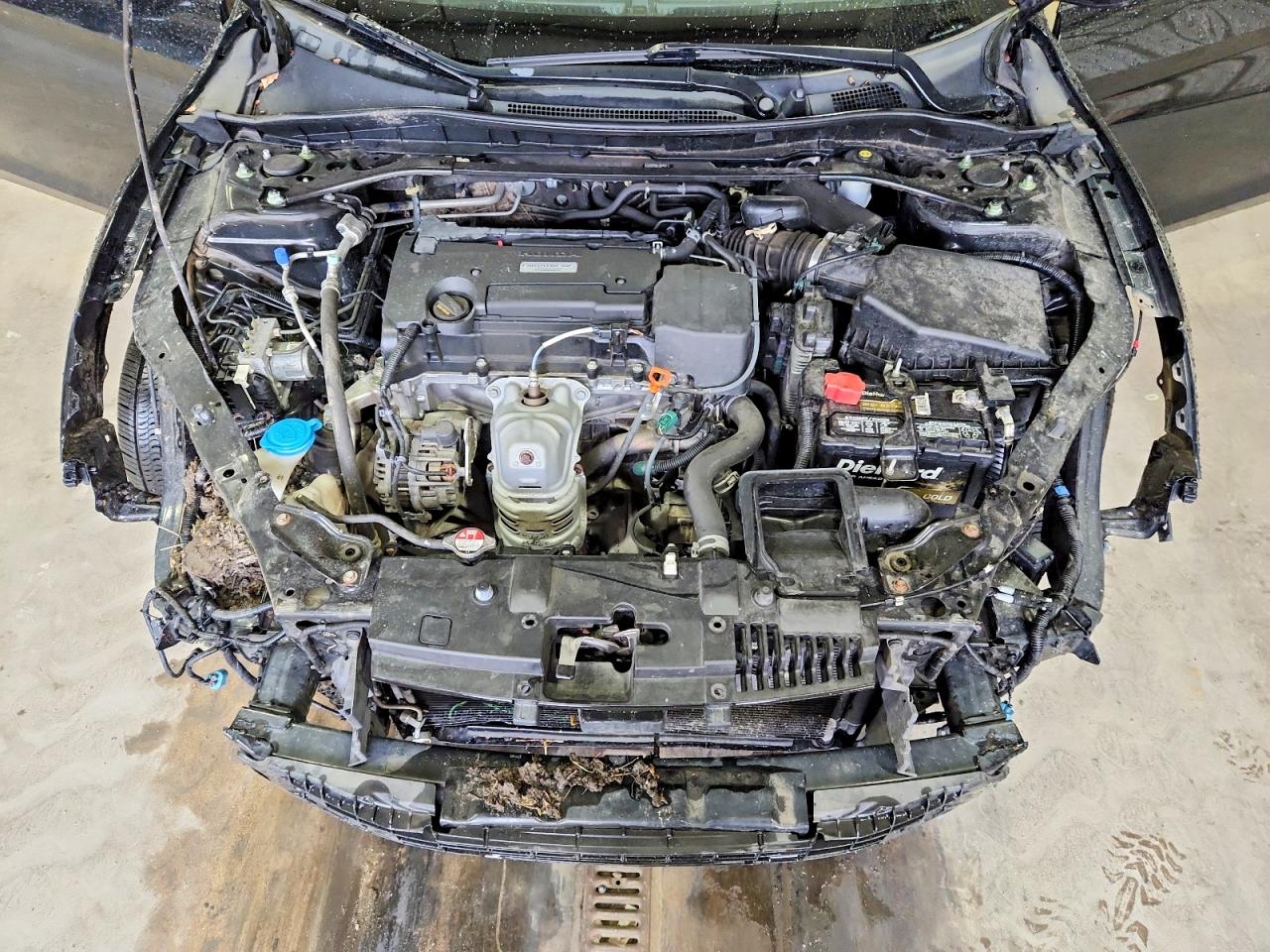 Honda Accord Sport Special Edition