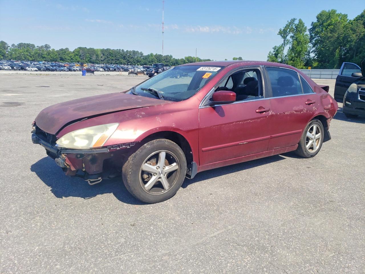 Salvage Honda Accord Image