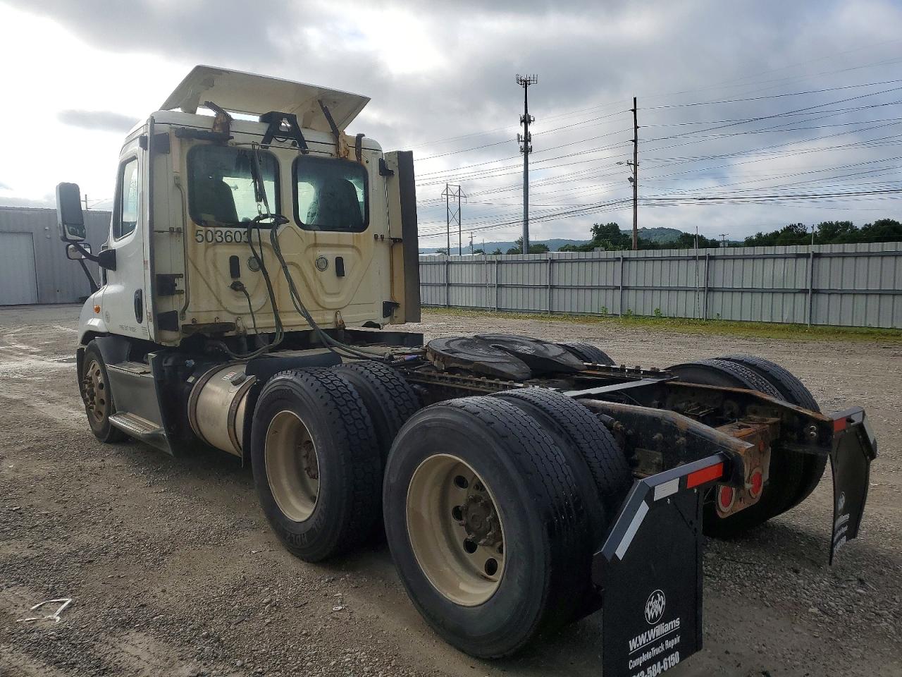 Freightliner Cascadia 113