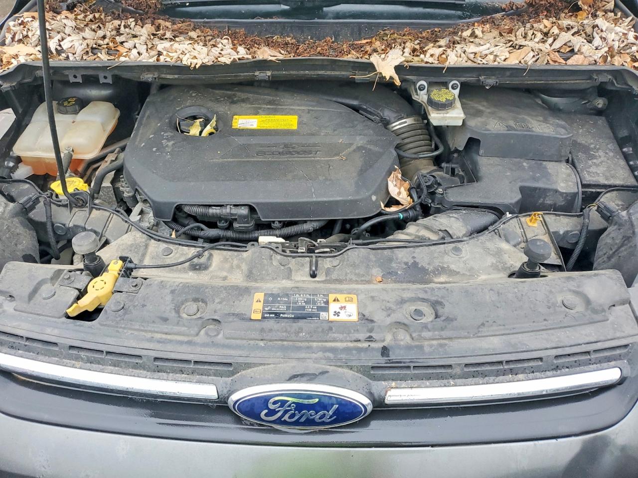 Ford Escape Se