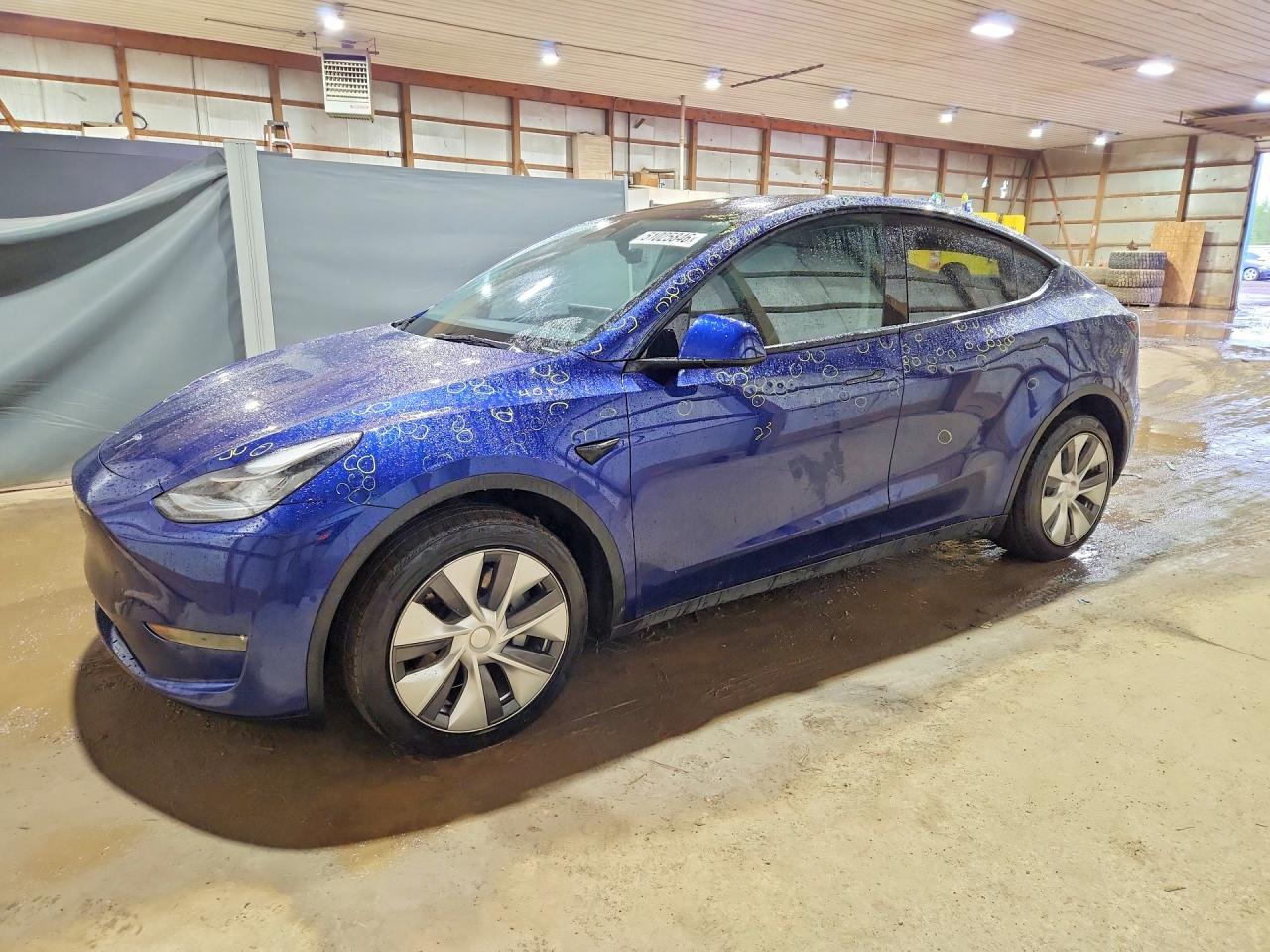 Salvage Tesla Model Y Image