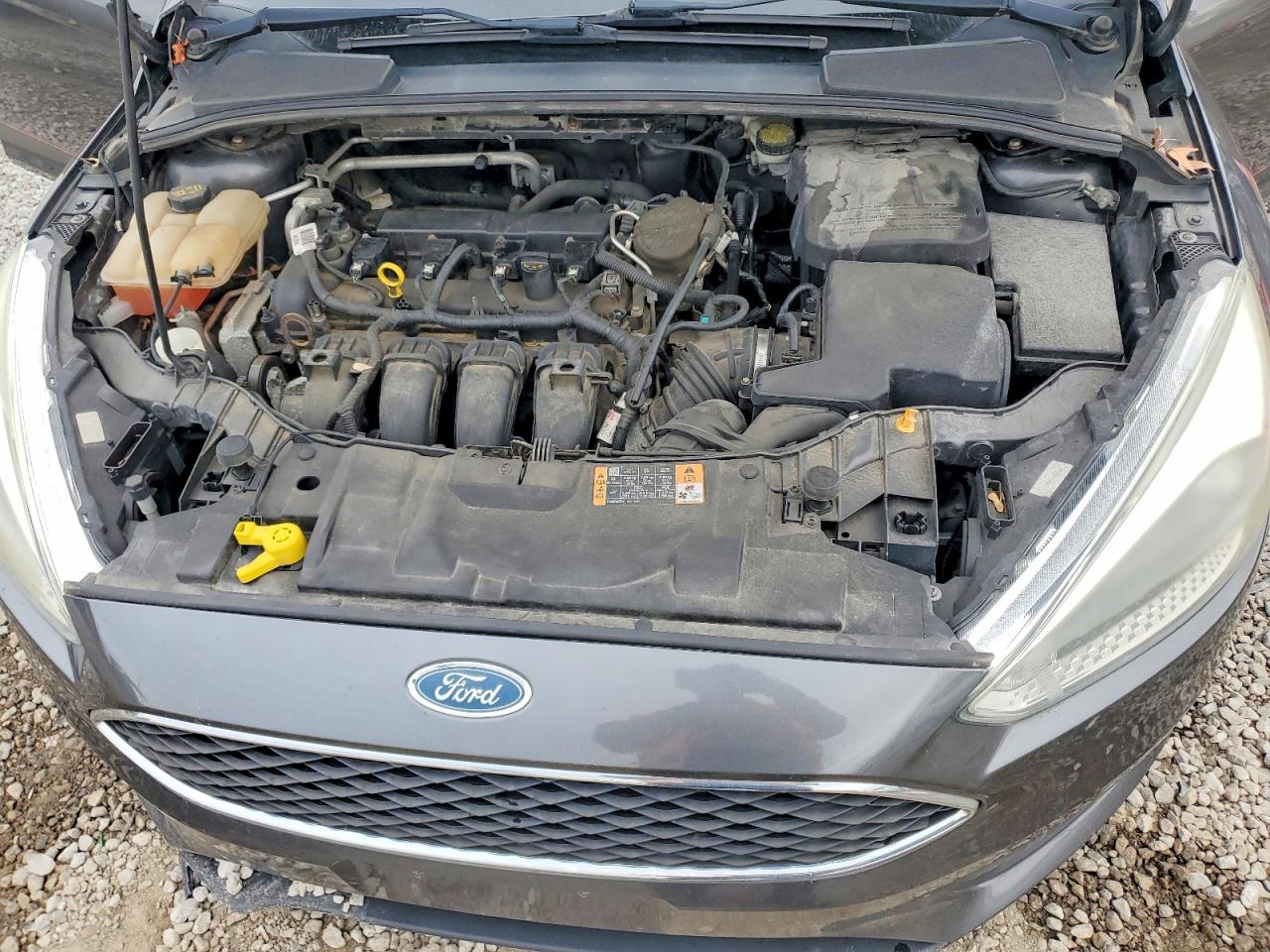 Ford Focus Se