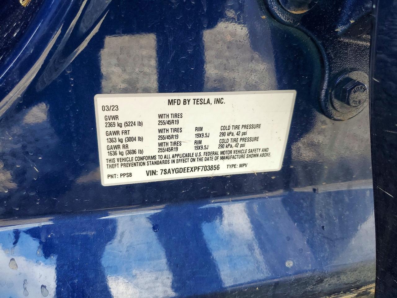 Tesla Model Y