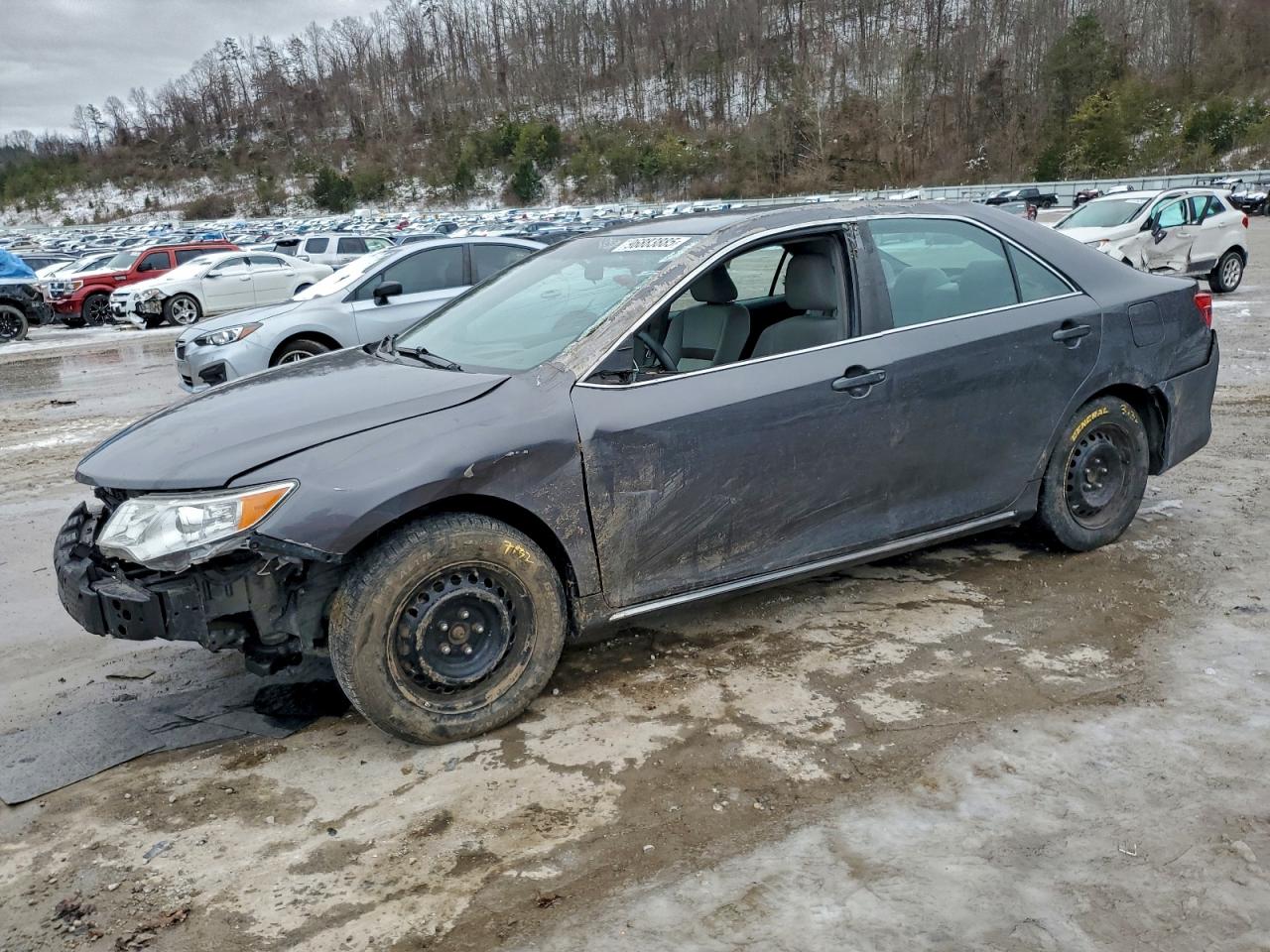 Salvage Toyota Camry Image