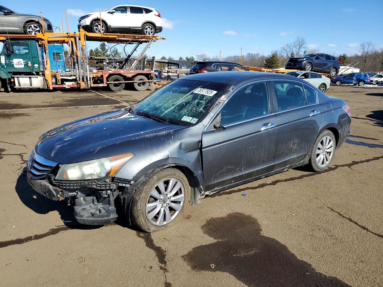 Salvage Honda Accord Image