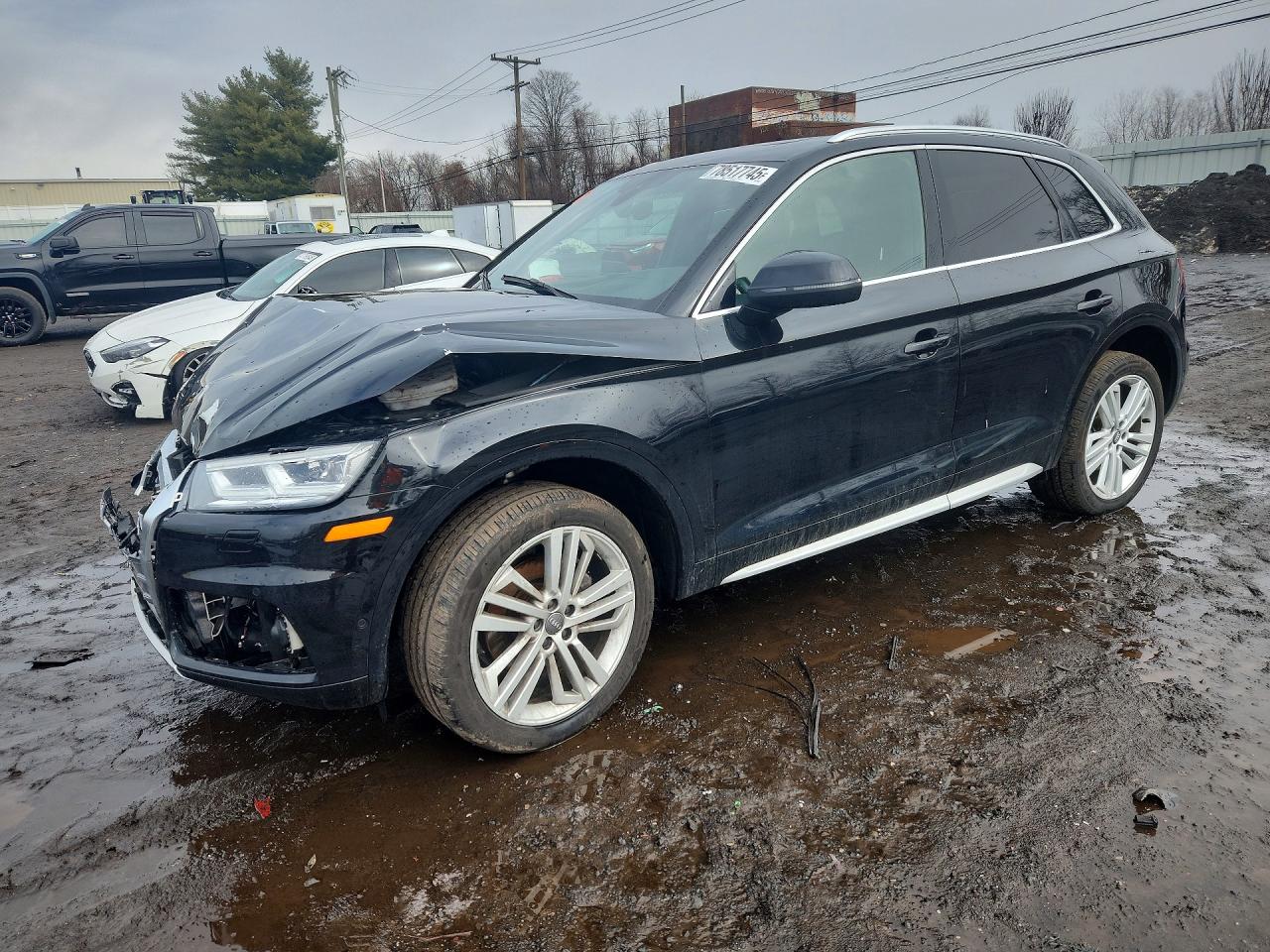 Salvage Audi Q5 Image
