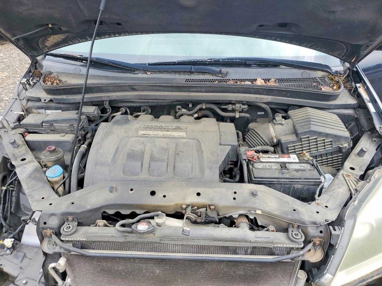 Honda Odyssey Exl