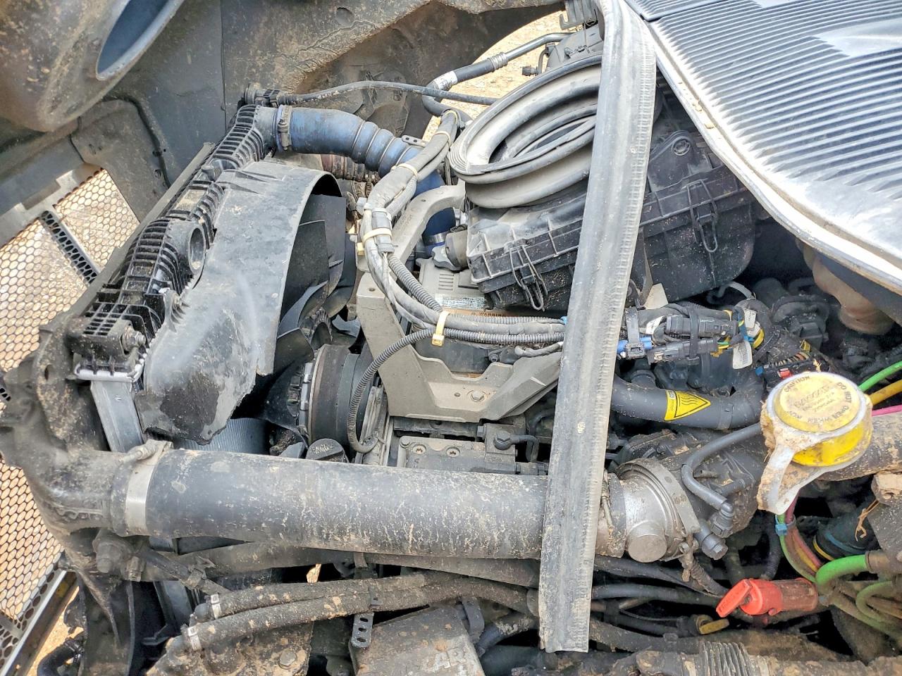 Ptrb Heavy Duty Trucks