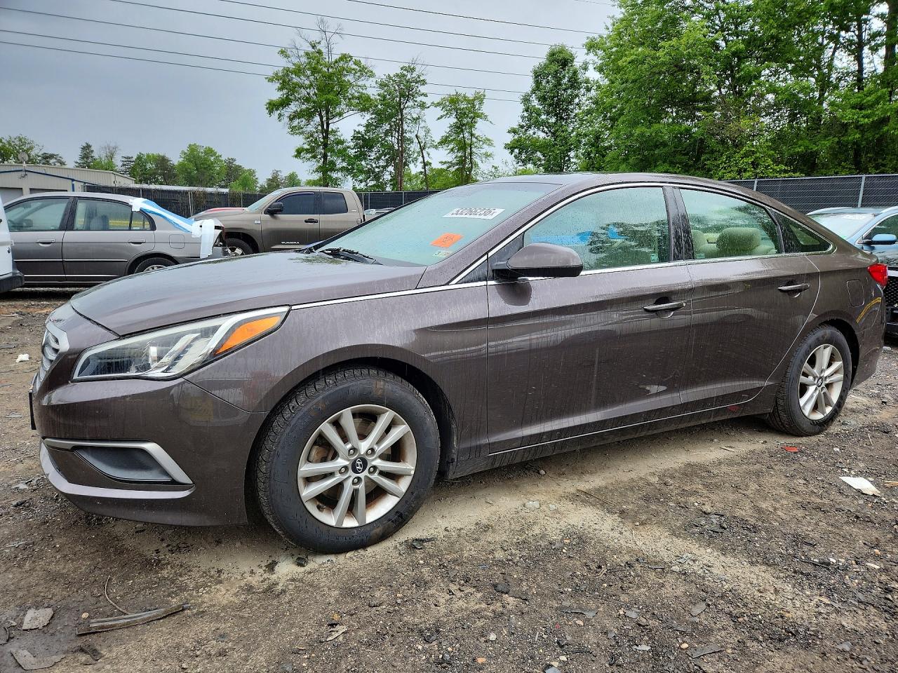Salvage Hyundai SONATA Image