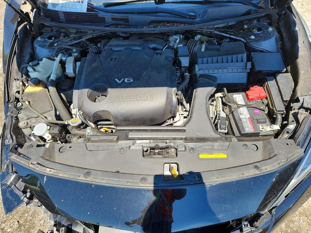 Nissan Maxima Platinum