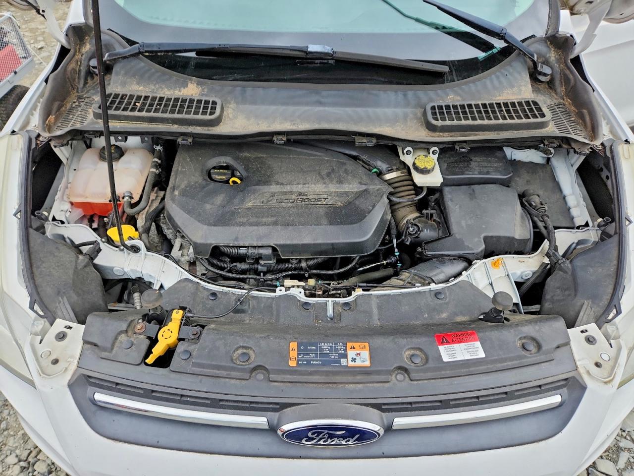 Ford Escape Se