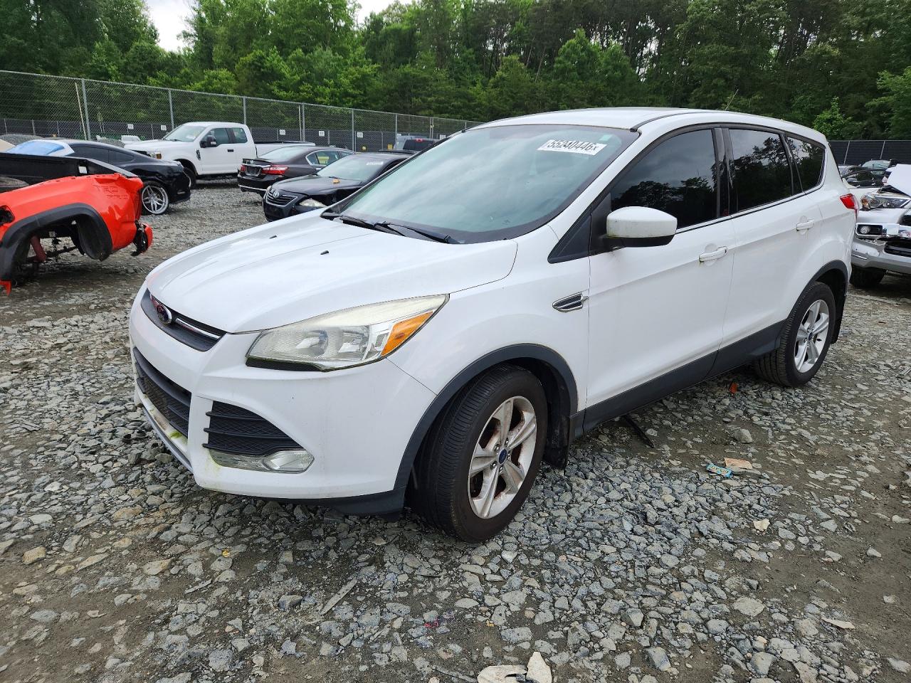 Salvage Ford Escape Image