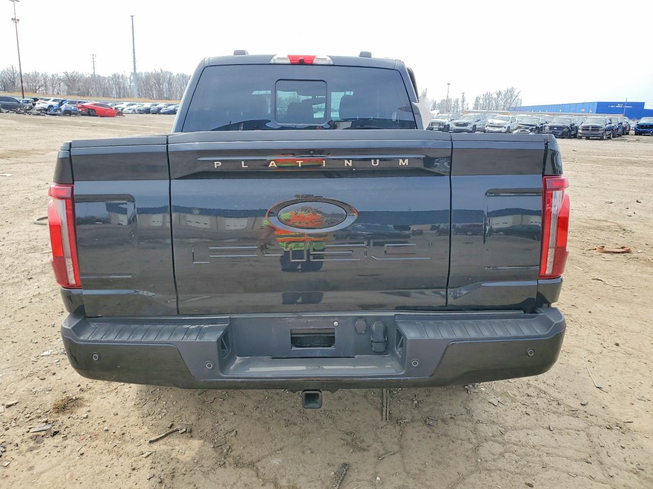 Ford F-150 Platinum