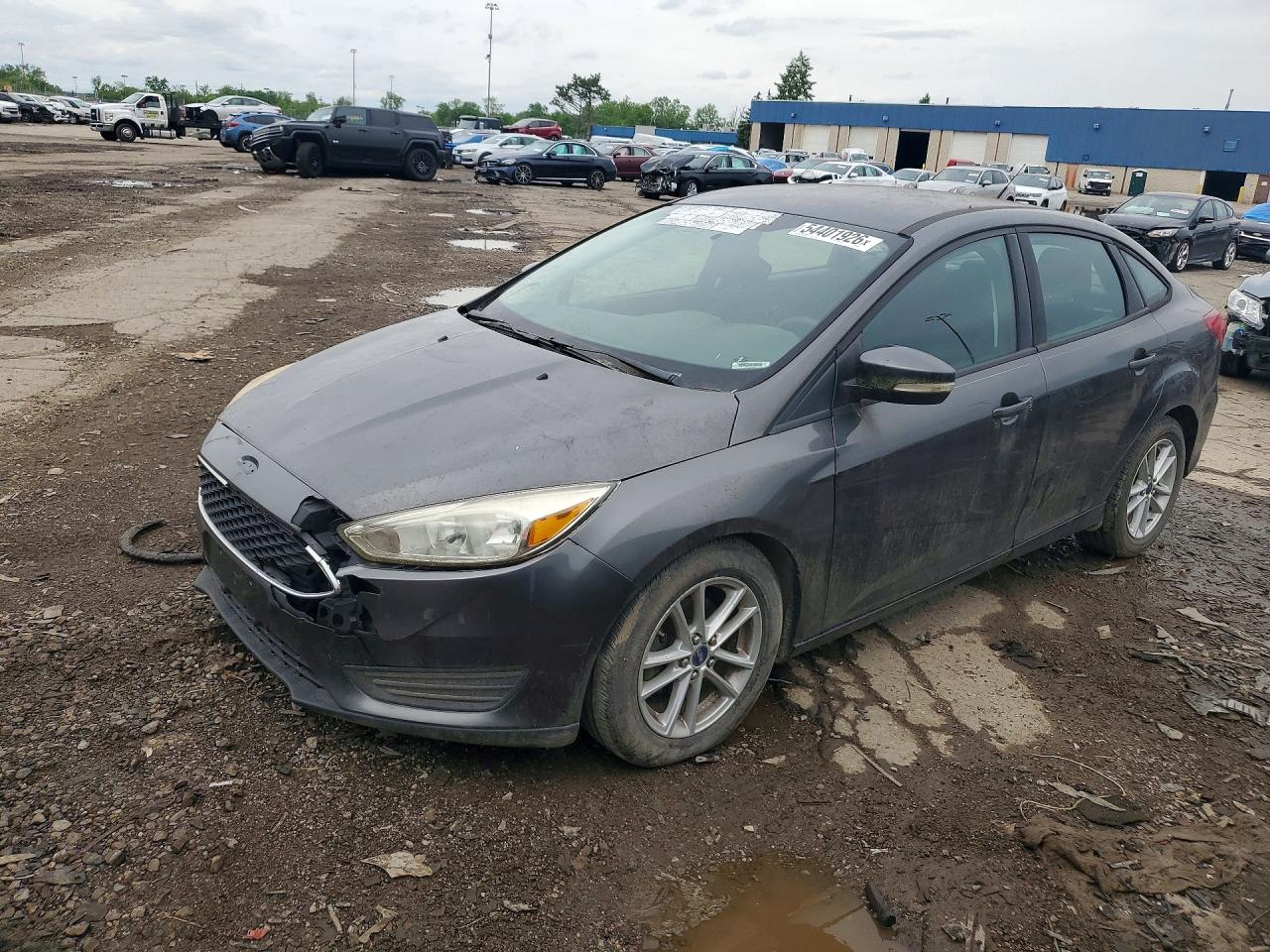 Salvage Ford Focus Image