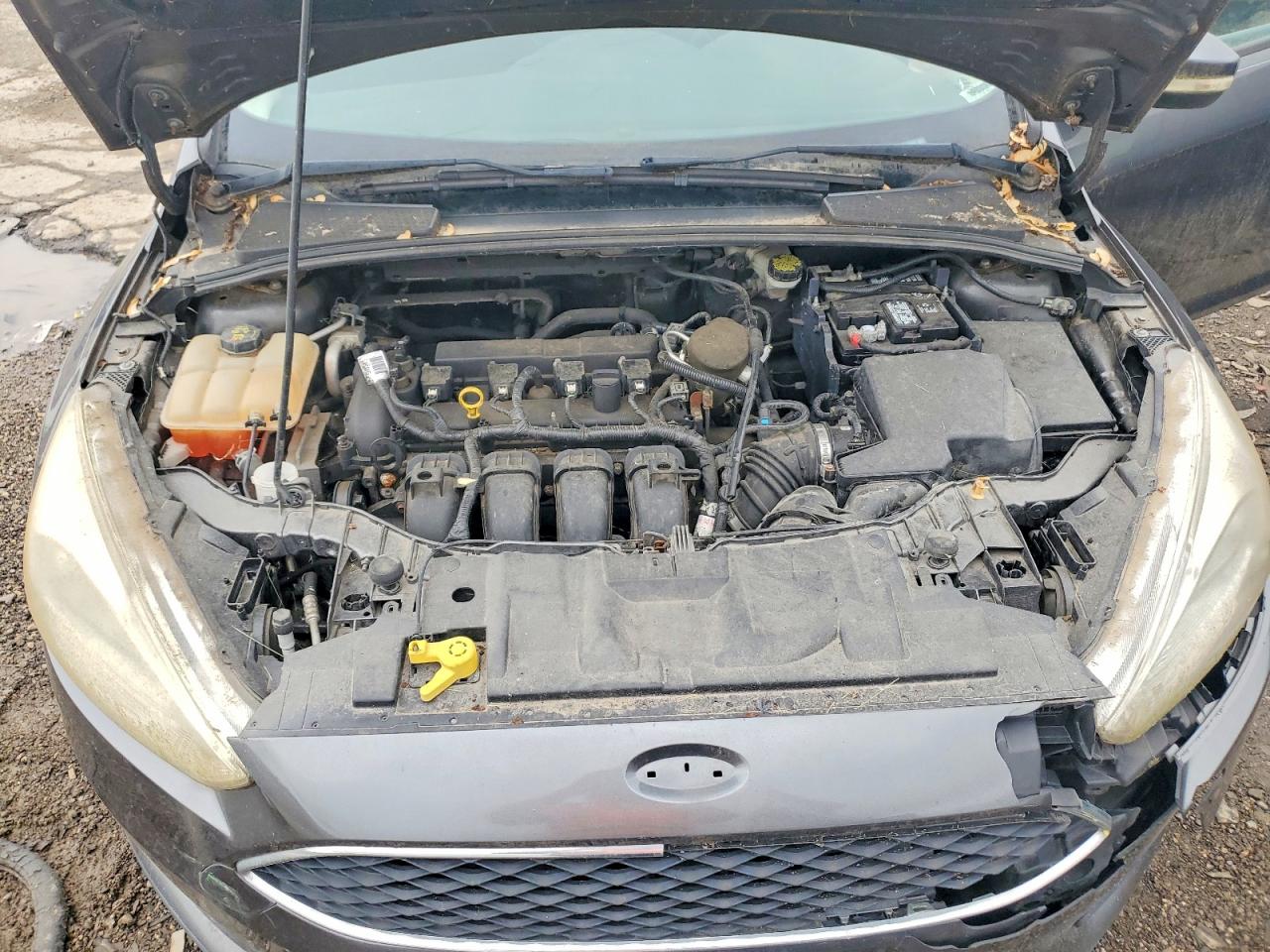 Ford Focus Se