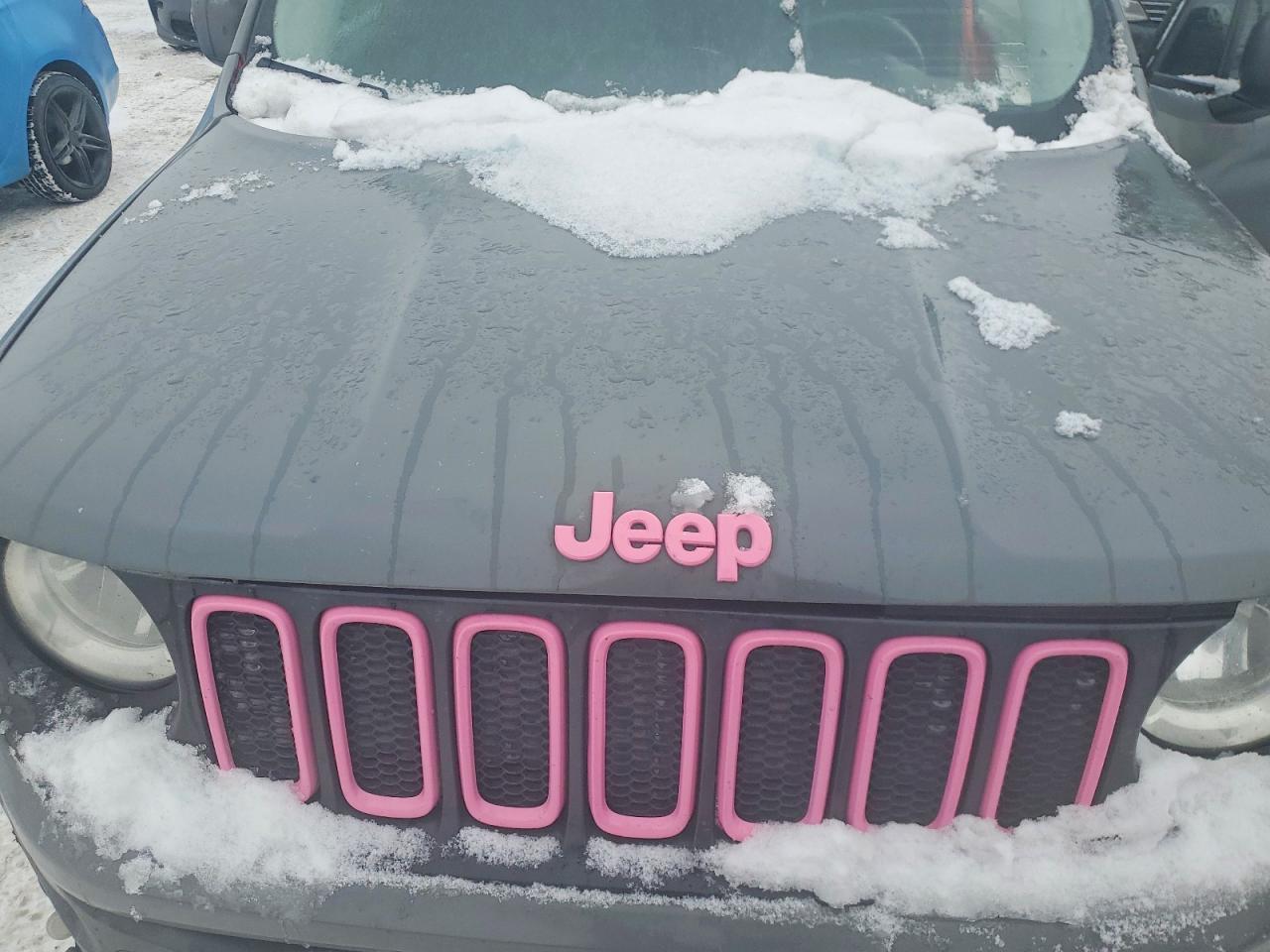Jeep Renegade Trailhawk