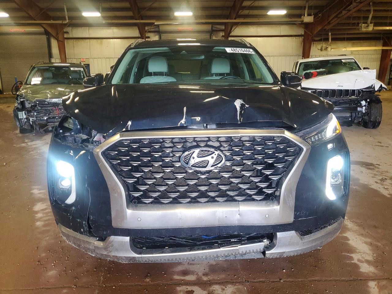 Hyundai PALISADE Calligraphy