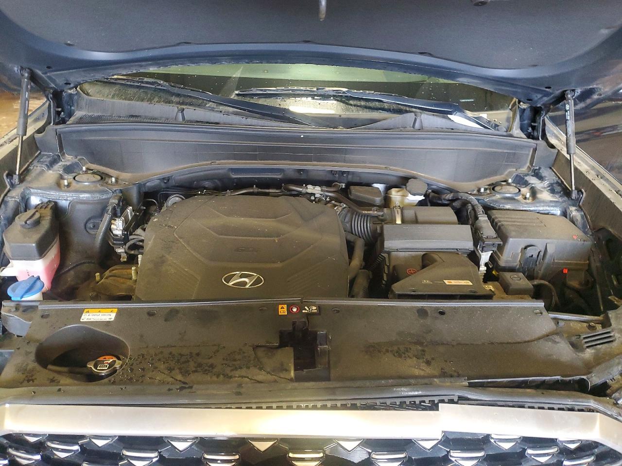 Hyundai PALISADE Calligraphy