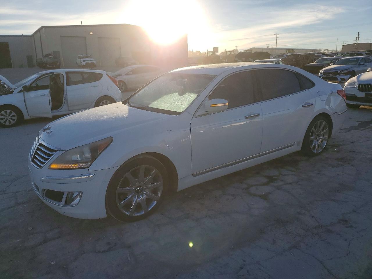 Salvage Hyundai Equus Image