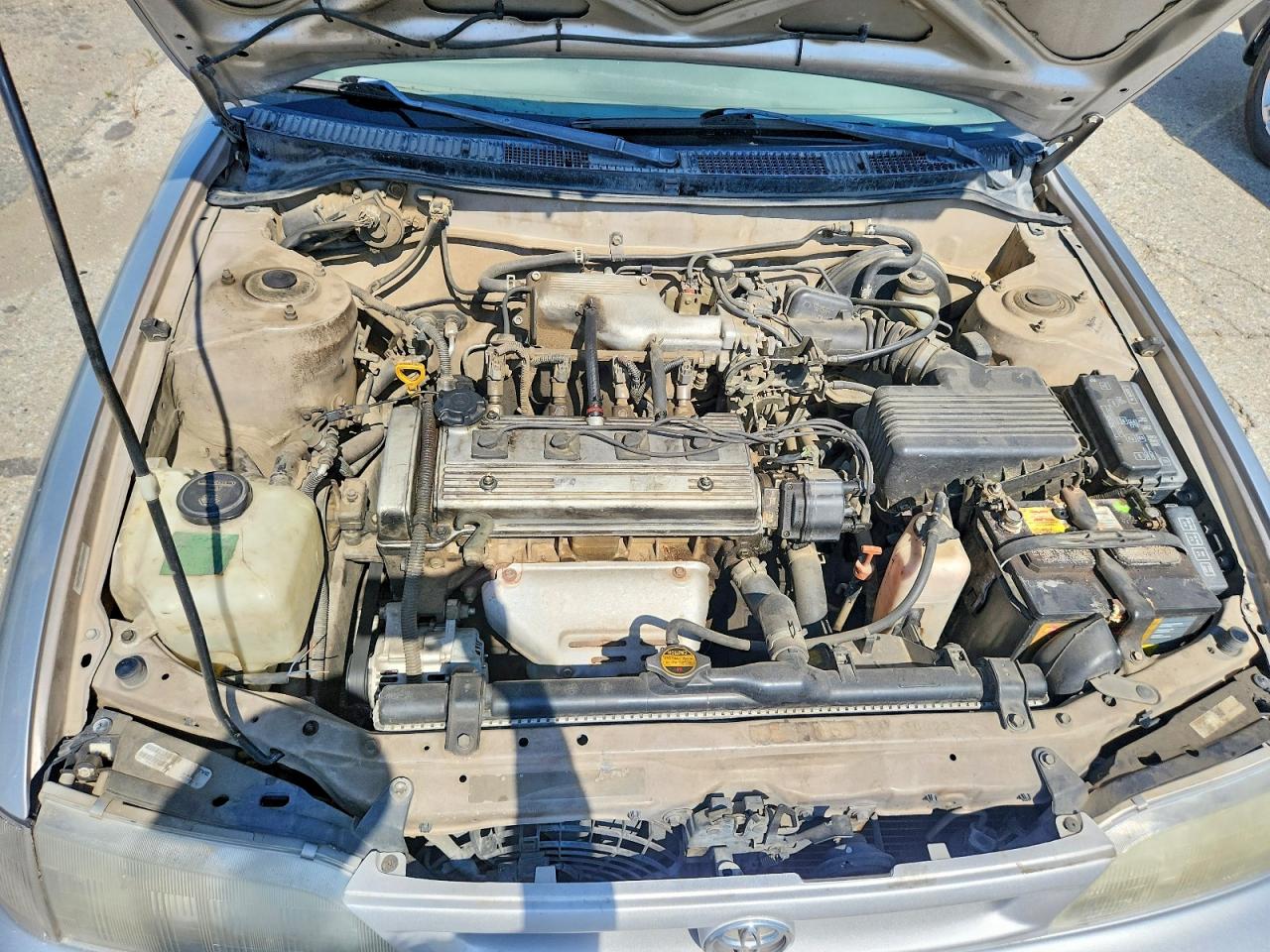Toyota Corolla Dx