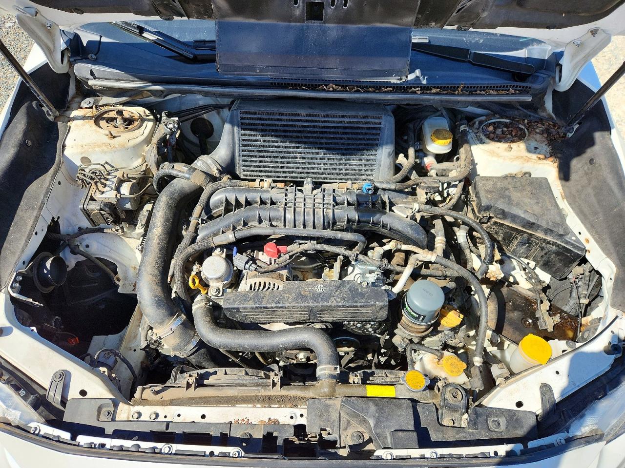 Subaru WRX Premium