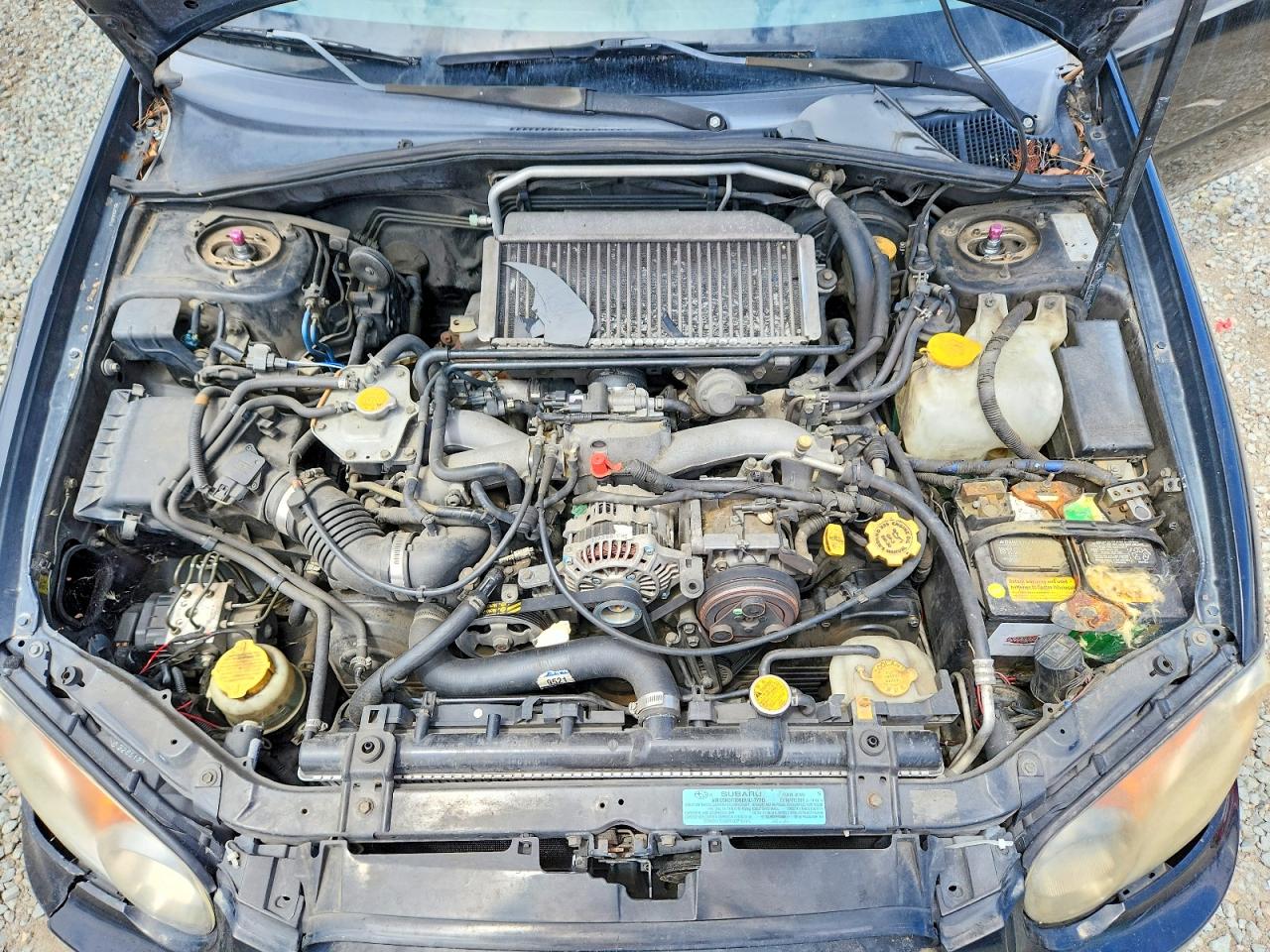 Subaru WRX Wrx